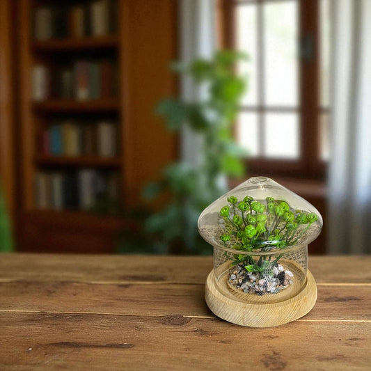 Mini Glass Dome Terrarium